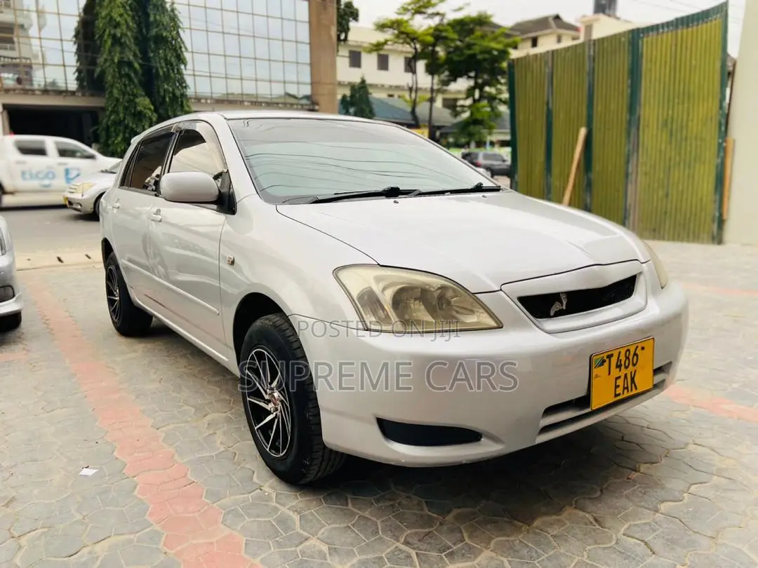 Toyota Corolla RunX 2004 Silver