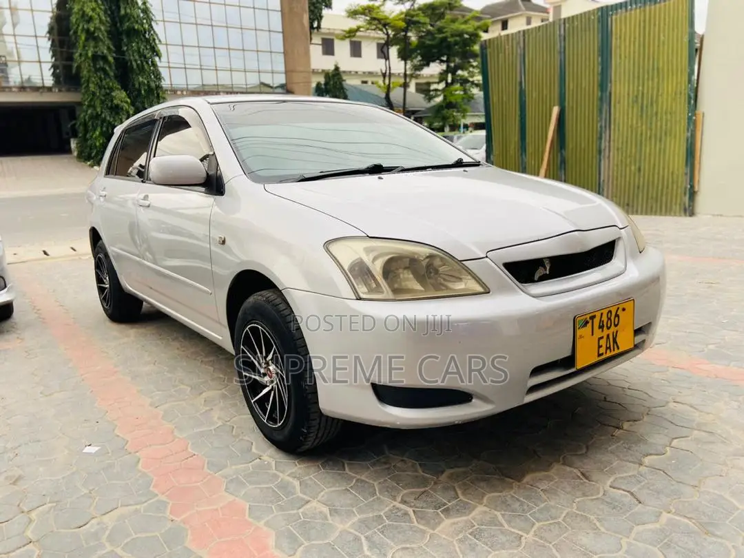 Toyota Corolla RunX 2004 Silver