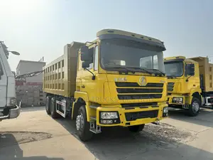 Ready to Order Used Shacman Dump Truck F3000 for Sale