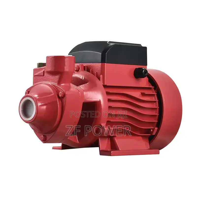 Surface Pump 0.5hp