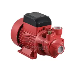 Surface Pump 0.5hp