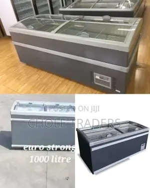 1000-Litres Commercial Heavy Duty Freezer