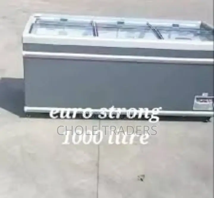 1000-Litres Commercial Heavy Duty Freezer