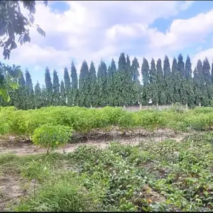2400 SQM Plot For Sale At Ununio Beach