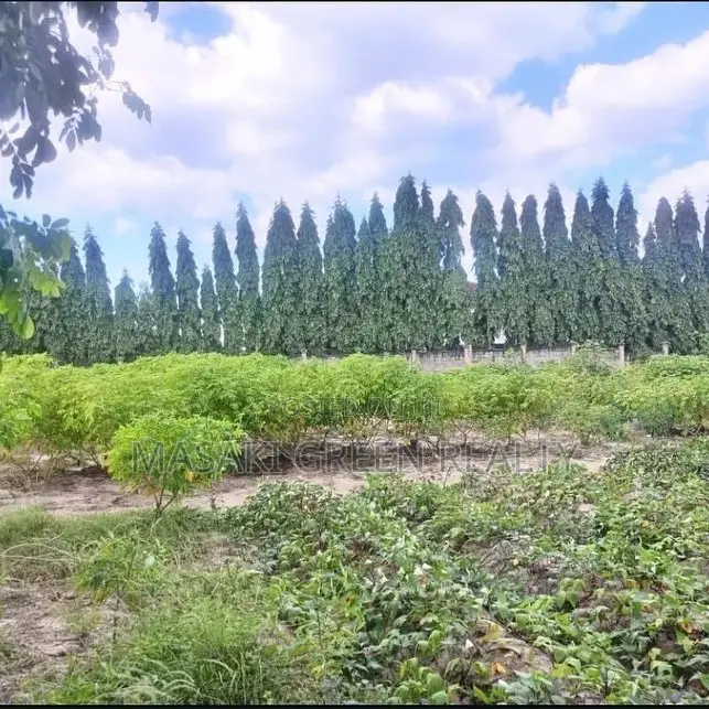 2400 SQM Plot For Sale At Ununio Beach