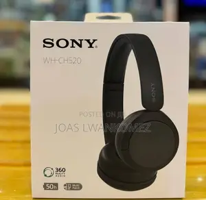 Sony Headphones WCH-520