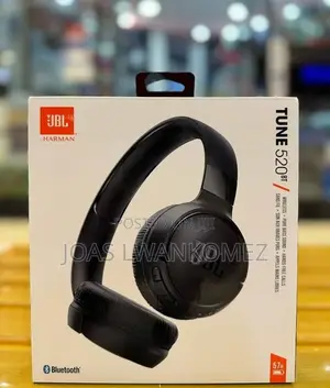JBL 520 Headphones
