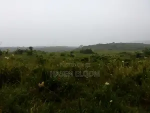 Shamba 2.6 Acre Linakodishwa Farm for Rent