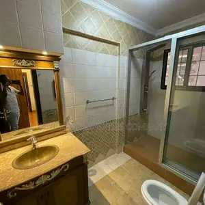 Furnished 3bdrm Apartment in Masaki for rent