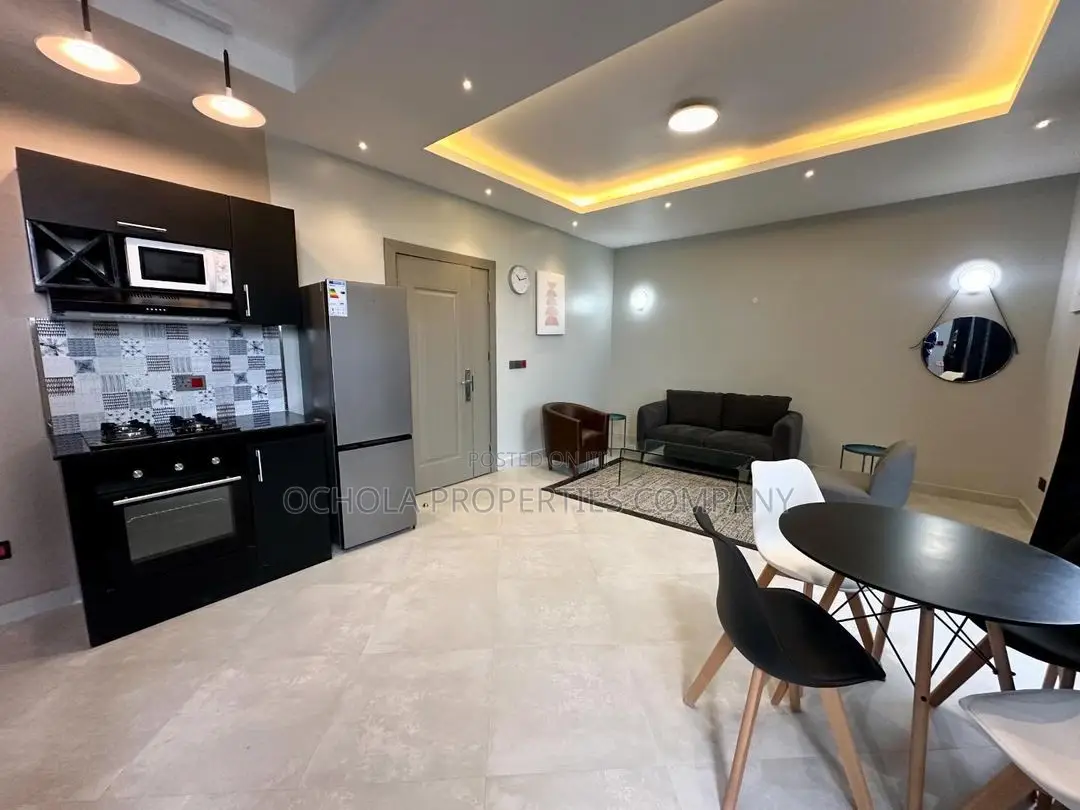 Furnished 1bdrm Apartment in Masaki for rent