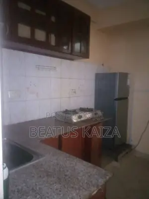 Furnished 3bdrm Apartment in Kariakoo Lumumba for rent
