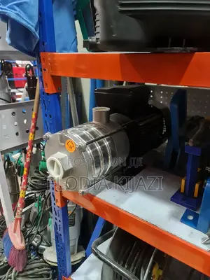 Stainless Steel Pump (Food Grade Pump)