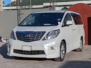 Toyota Alphard 2010 Pearl