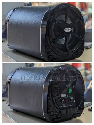 Ailing 10” Car Subwoofer
