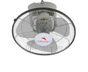 Dolphin Orbit Fan