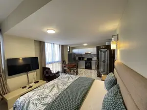 Furnished 1bdrm Apartment in Masaki, Kinondoni for rent