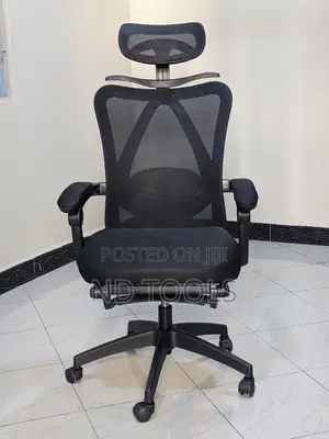 Ergonomic Office Chair With Lumbar Support, Big and Tall Mes