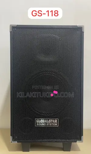Portable Sound System With Mike