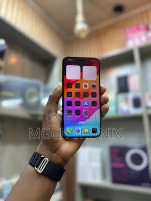 Apple iPhone 15 Pro Max 256 GB Black