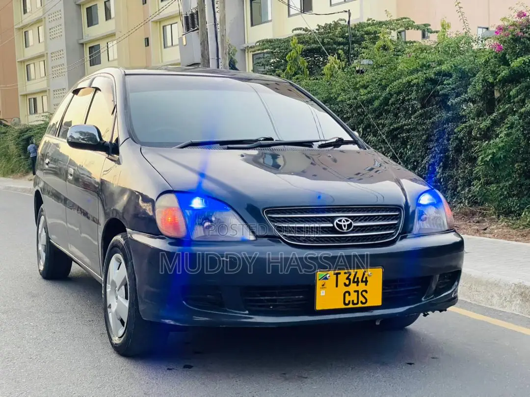 Toyota Nadia 2002 Gray