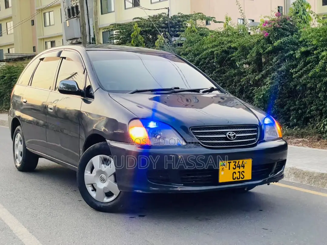 Toyota Nadia 2002 Gray