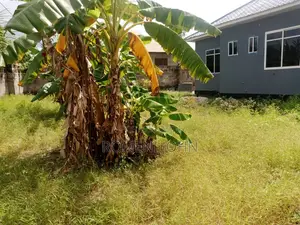 3bdrm House in Tanzania Dsm Ukonga, Ilala for sale
