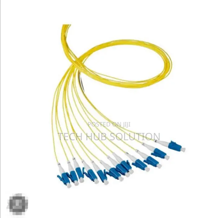 Evi Pigtail for Lc/Upc (Eptal2pg1mdx02)