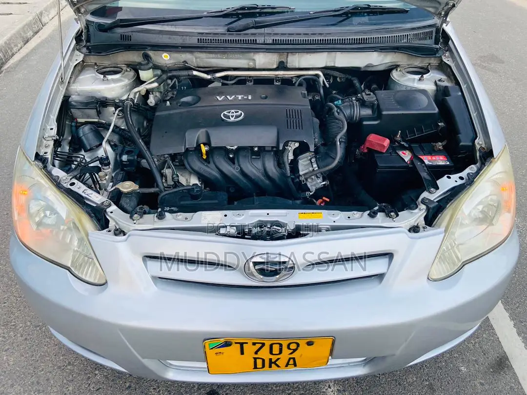 Toyota Corolla RunX 2004 Silver
