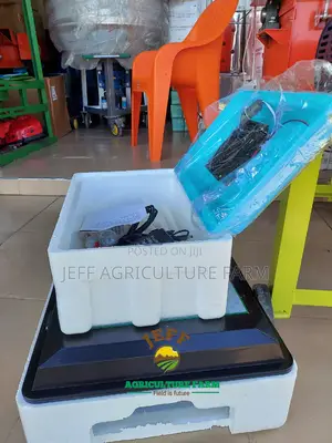 30 Eggs Incubator Machine 2024