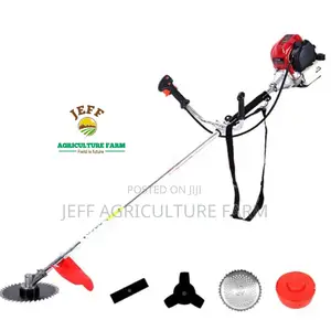 4 Stroke Engine 2023 Brush Cutter