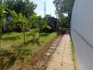 Warehouse for Rent