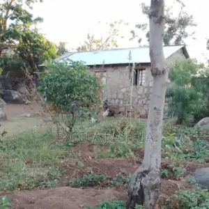 Viwanja Vilivyopimwa Vinauzwa Bwiru Mwanza
