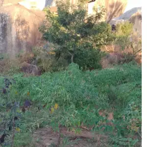 Viwanja Vilivyopimwa Vinauzwa Bwiru Mwanza