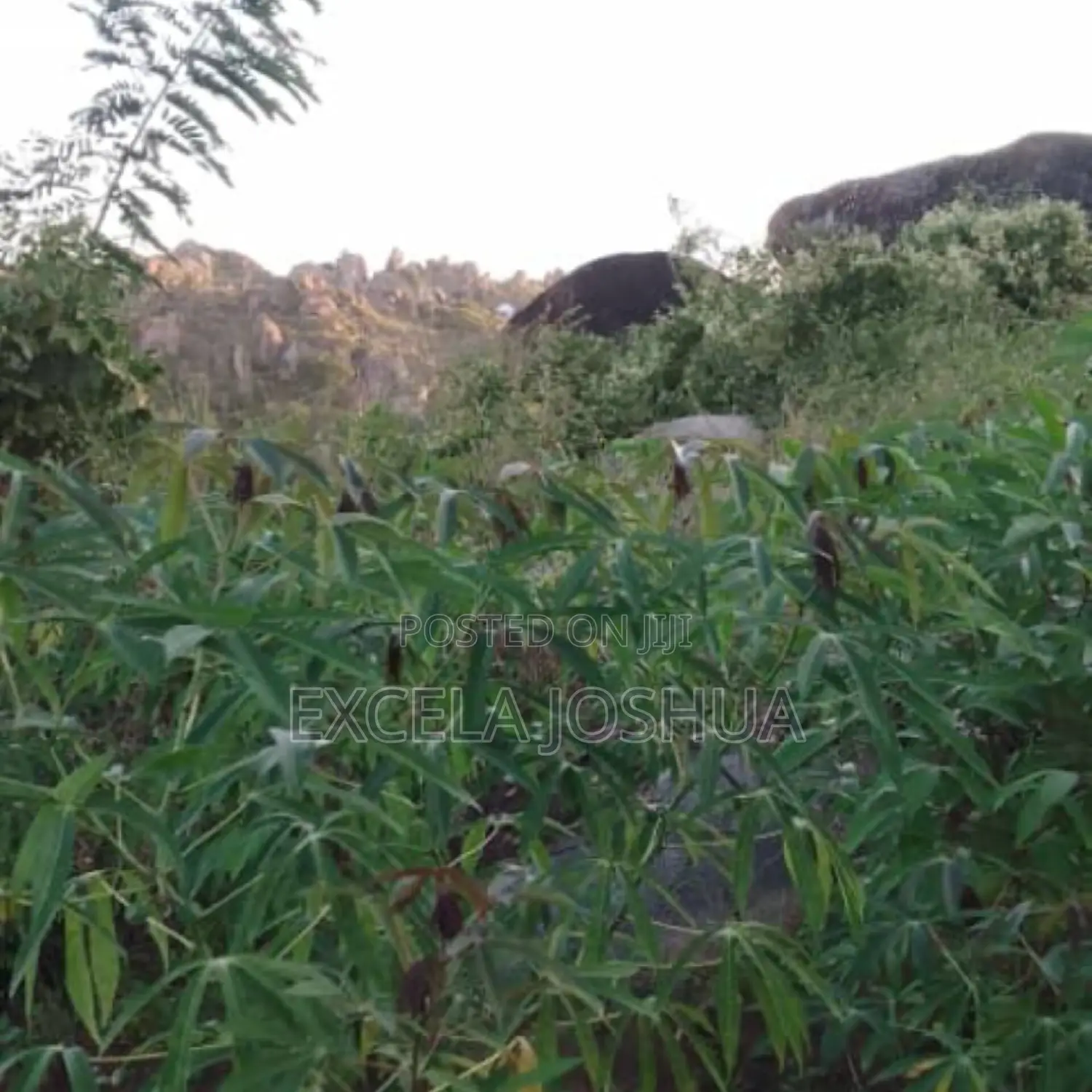 Viwanja Vilivyopimwa Vinauzwa Bwiru Mwanza