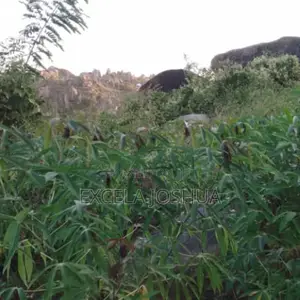 Viwanja Vilivyopimwa Vinauzwa Bwiru Mwanza