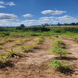 Plot for Sale at Mwanambaya-Mkuranga