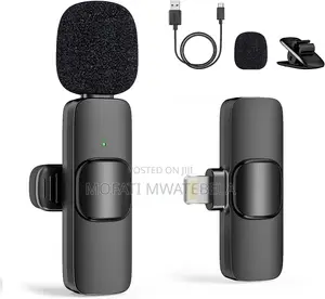 Microphone