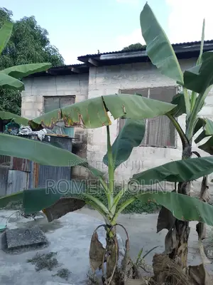 4bdrm Townhouse/Terrace in Tanzania Dsm Ukonga, Ilala for sale