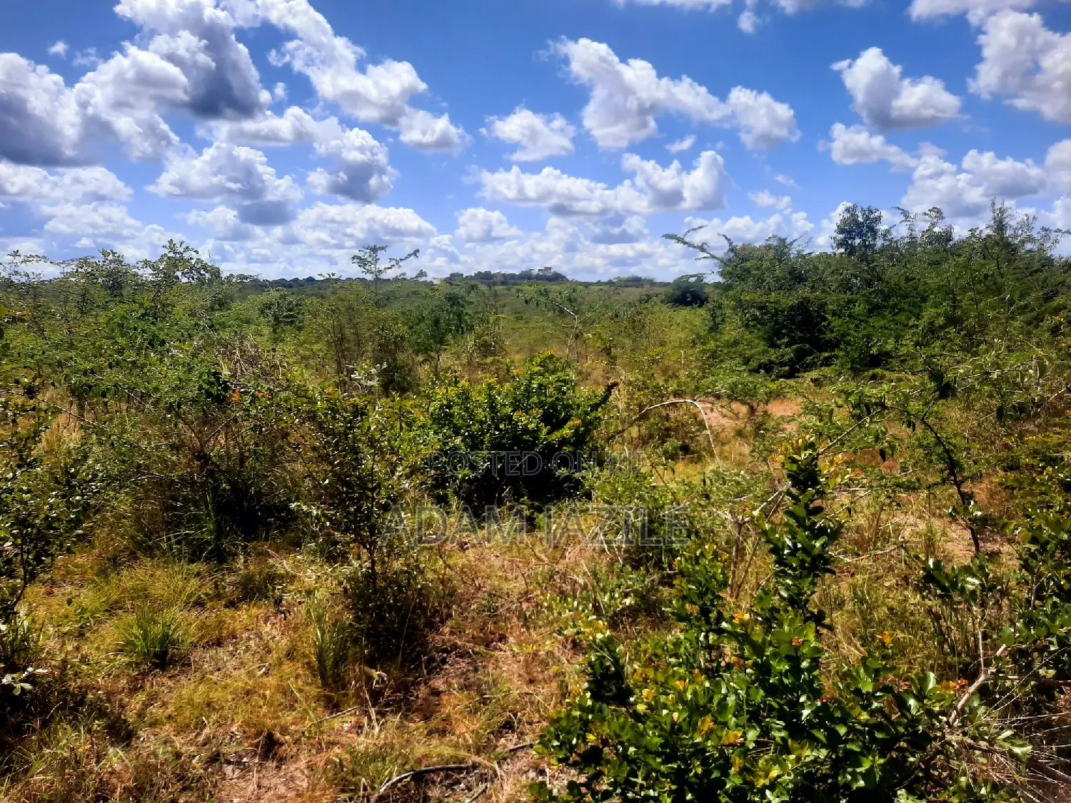 Shamba La Eksri 30 Linauzwa Mwavi Fukayosi Bagamoyo