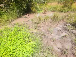 Shamba La Eksri 30 Linauzwa Mwavi Fukayosi Bagamoyo