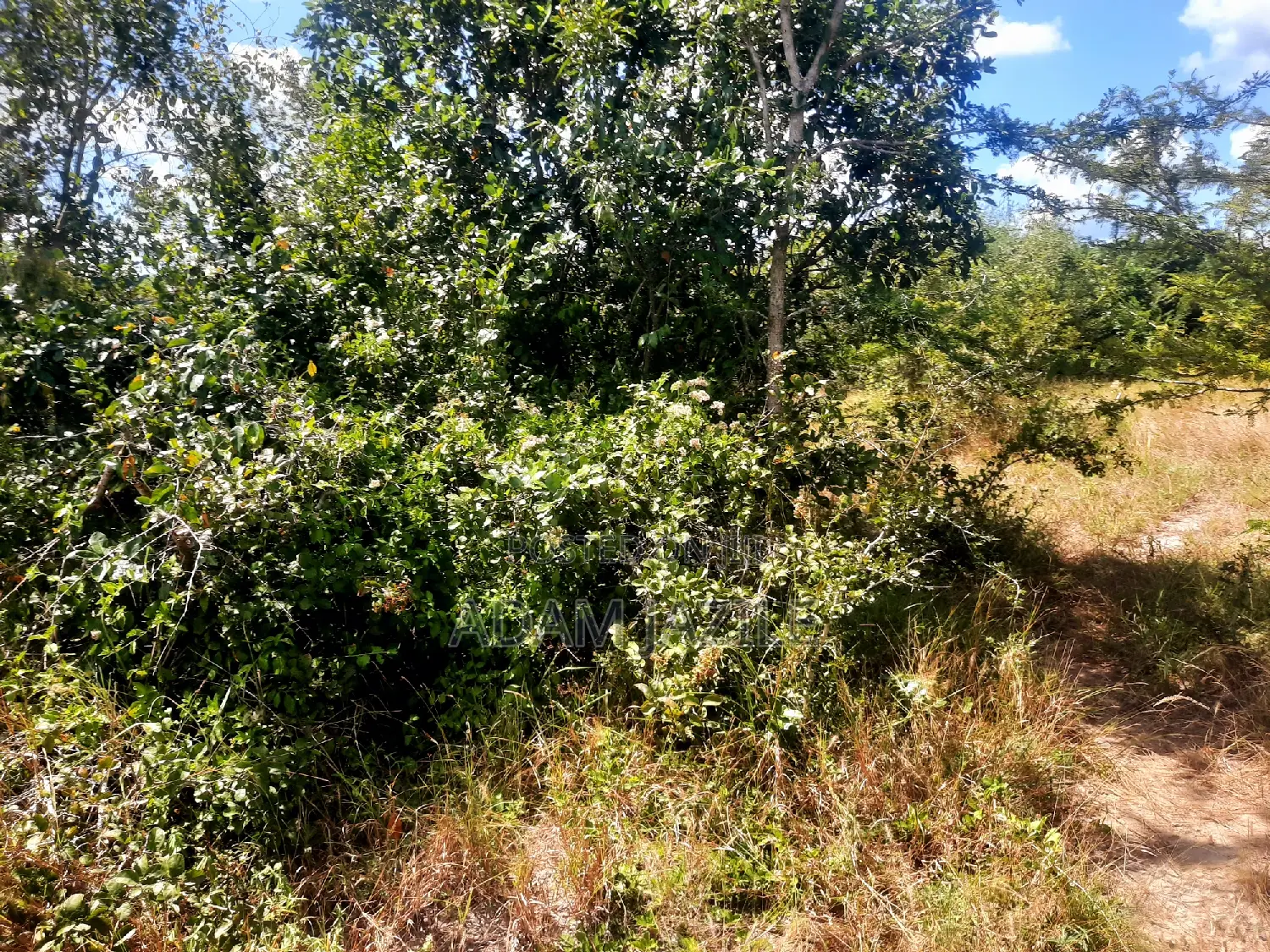 Shamba La Eksri 30 Linauzwa Mwavi Fukayosi Bagamoyo