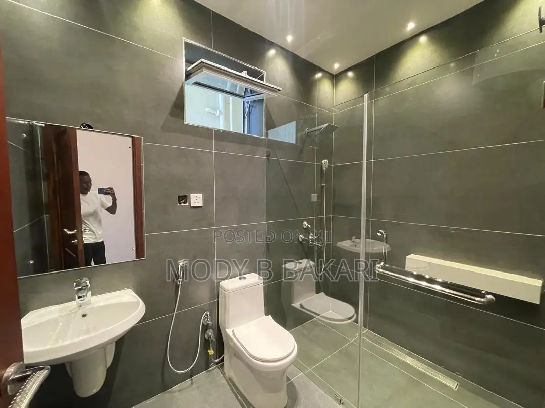 Furnished 3bdrm Apartment in Masaki for rent