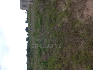 Viwanja Vinauzwa Viko Maeneo Ya Lugwadu Kigamboni, Kisarawe