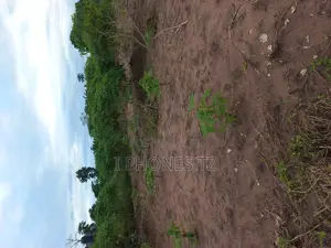 Viwanja Vinauzwa Viko Maeneo Ya Lugwadu Kigamboni, Kisarawe