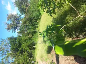 Viwanja Vinauzwa Viko Maeneo Ya Lugwadu Kigamboni, Kisarawe