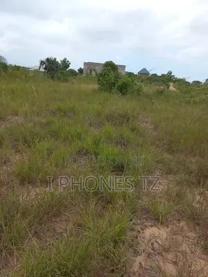 Viwanja Vinauzwa Viko Maeneo Ya Lugwadu Kigamboni, Kisarawe