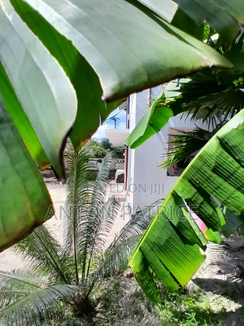 Furnished 2bdrm Apartment in Bahari Beach, Kinondoni for rent