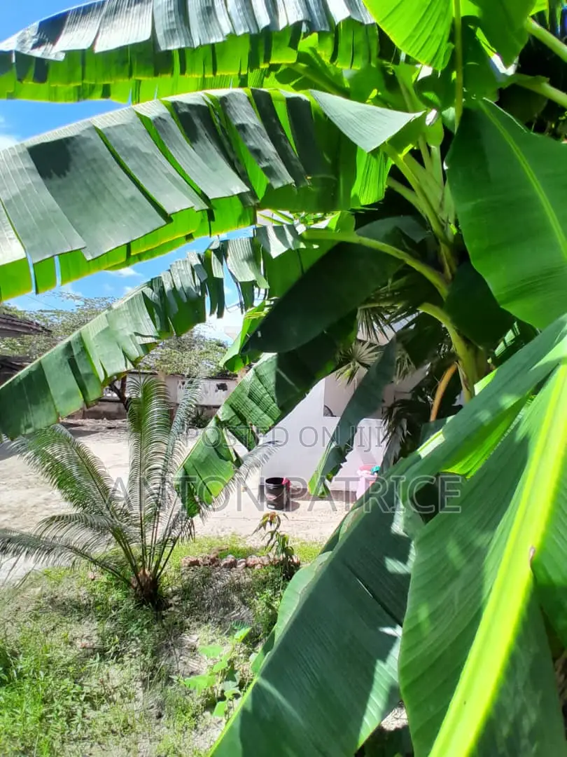 Furnished 2bdrm Apartment in Bahari Beach, Kinondoni for rent