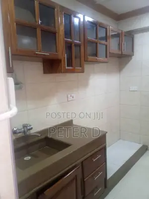 3bdrm Apartment in Kariakoo for rent