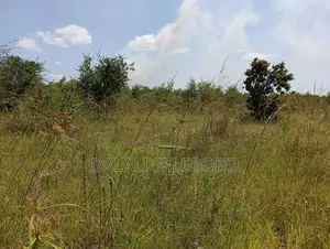 Plot Industry at Visiga Hecta 22 Pazuri Sana
